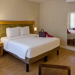 Standard Apartment One Double Bed